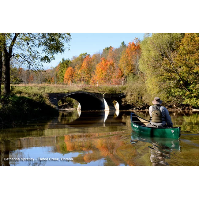 Bob Special 15, Tuffstuff, 2 Webbing Banken 11 Bob Special 15, Tuffstuff, 2 Webbing Banken - Afbeelding 9